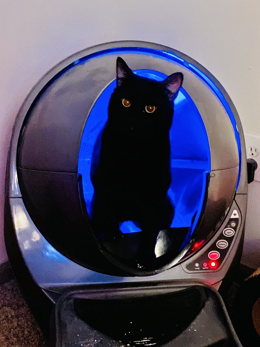 🇺🇸MEGO🇺🇸 tweet media