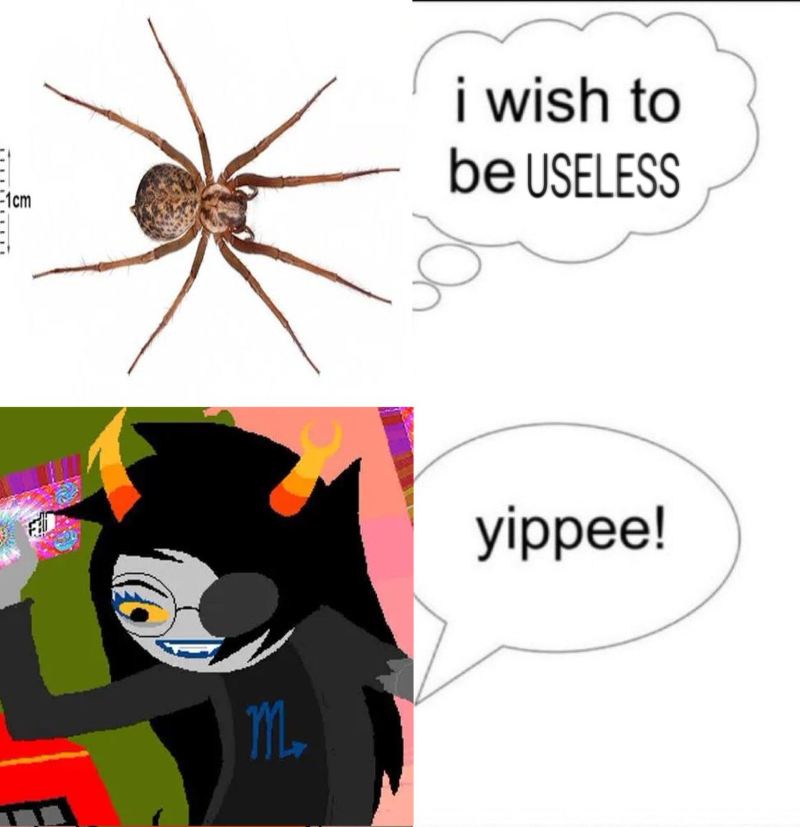 mudtrout tweet media