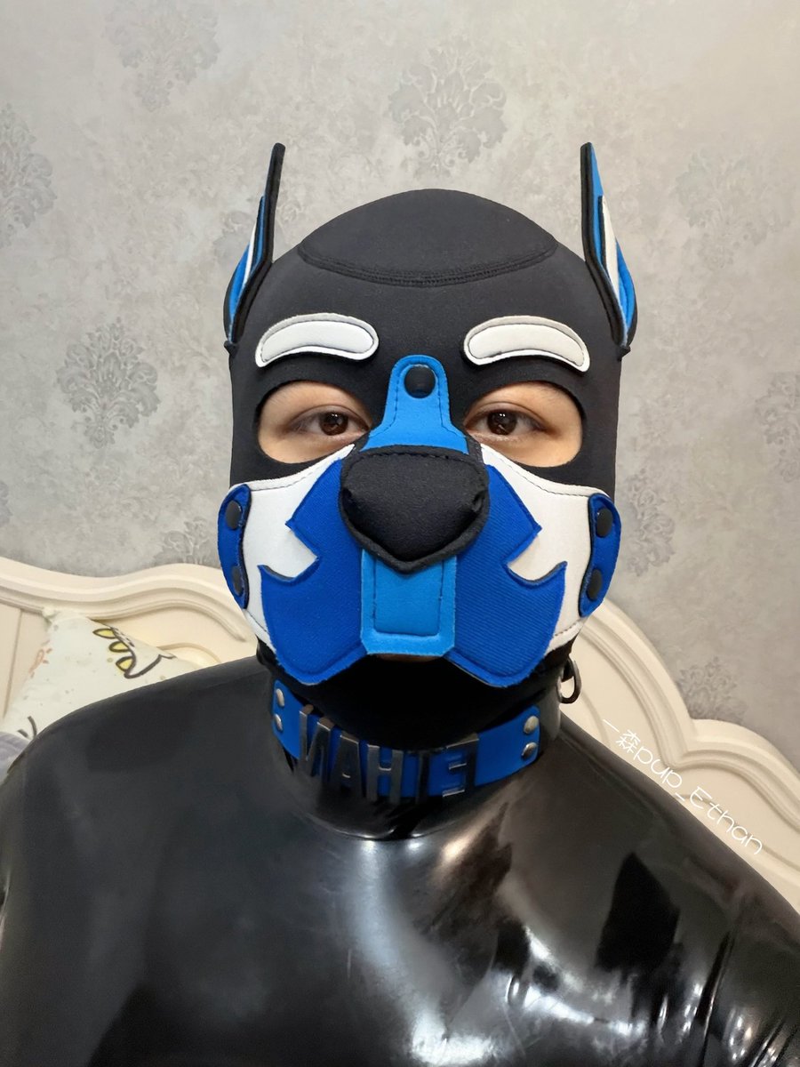 一森pup_Ethan tweet media