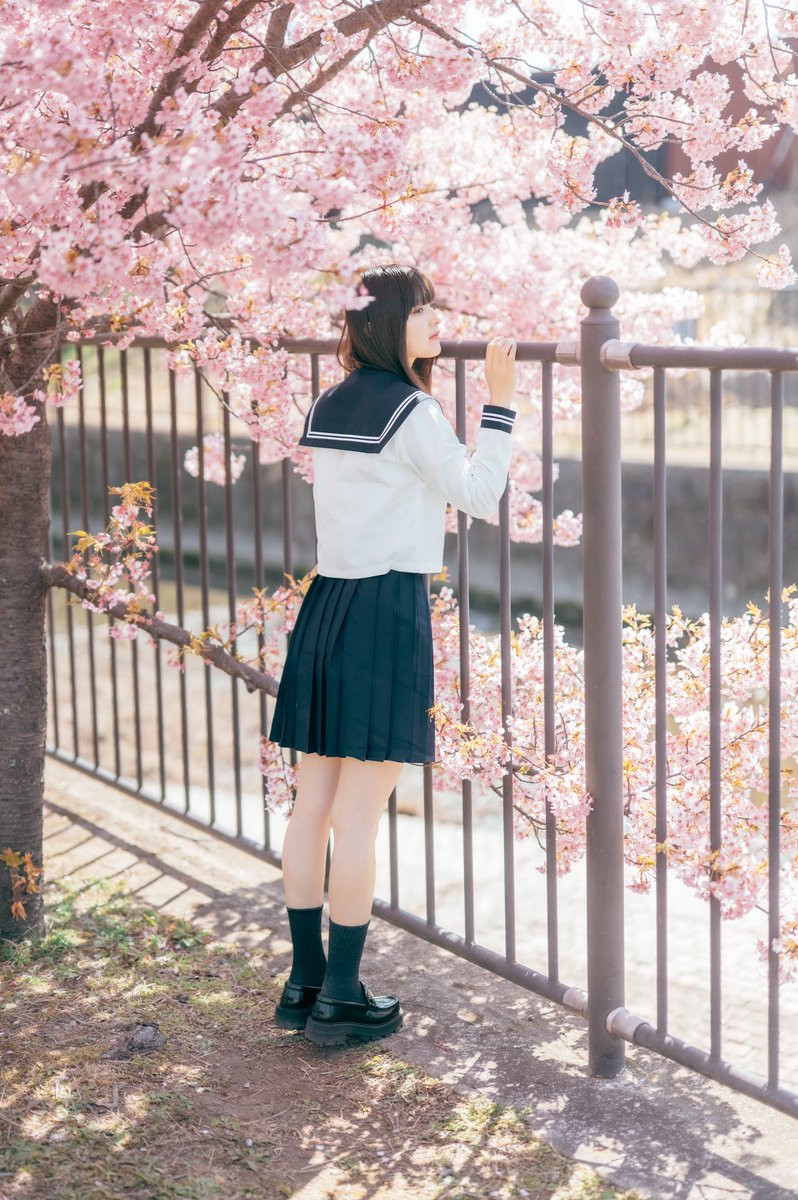 乙広モネ tweet media