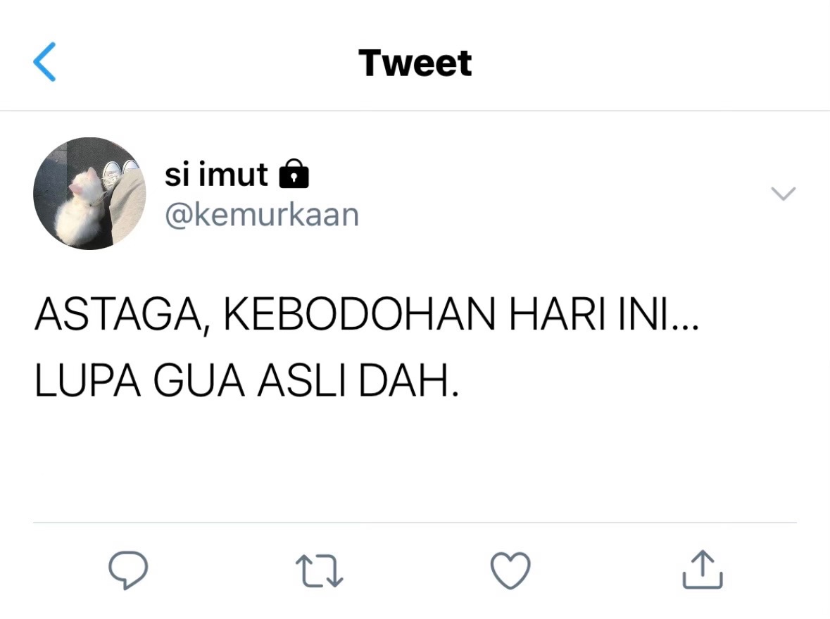 Jujutsu Fess tweet media