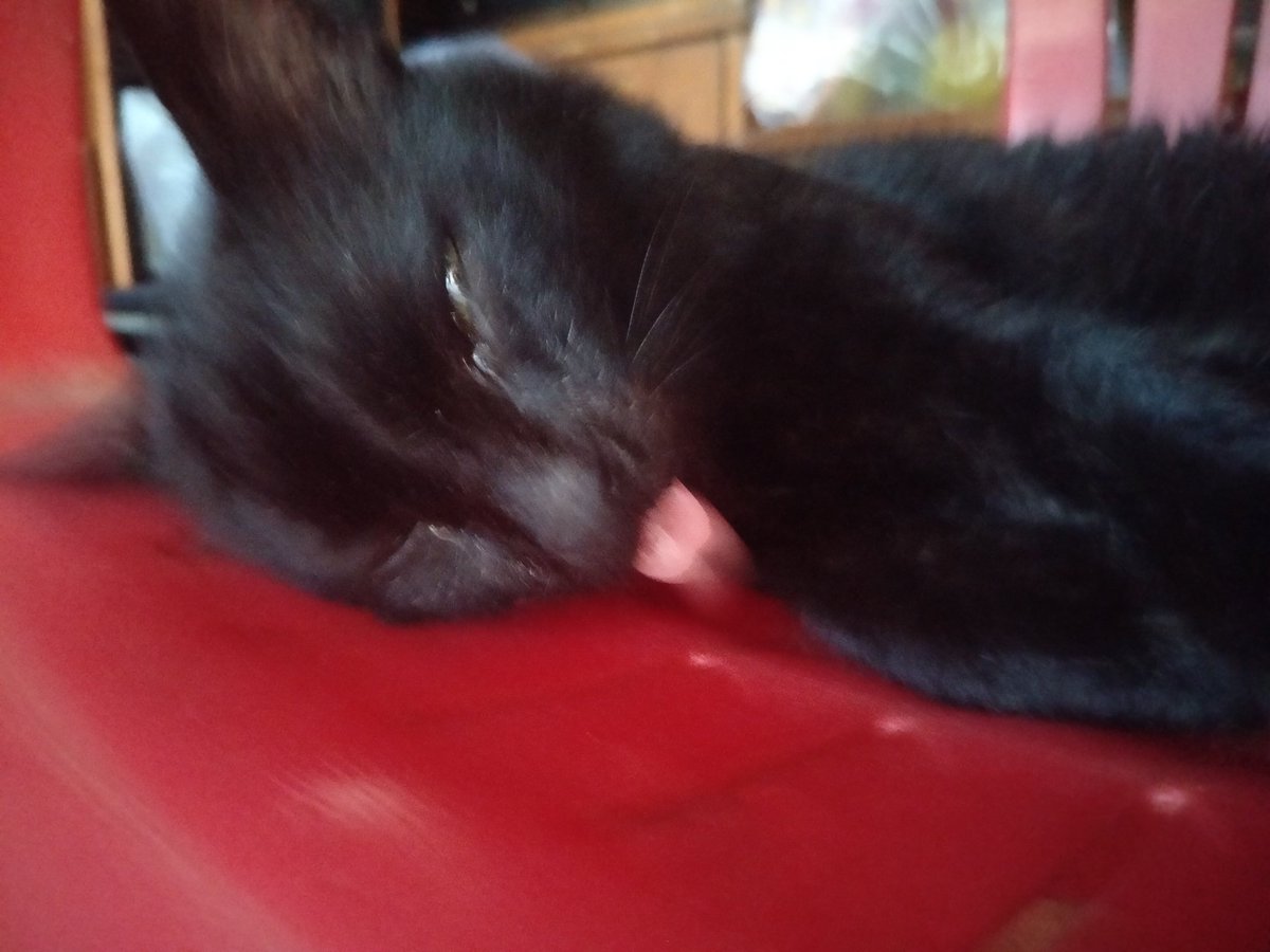 Zzzzzzzzz