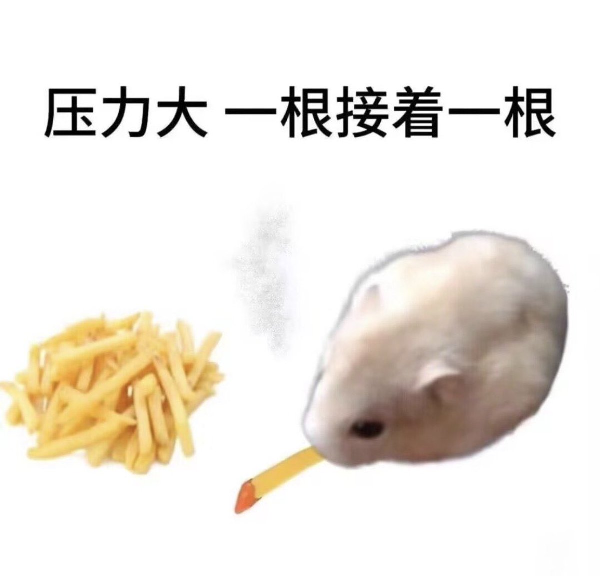 你算哪块小饼干啊 tweet media
