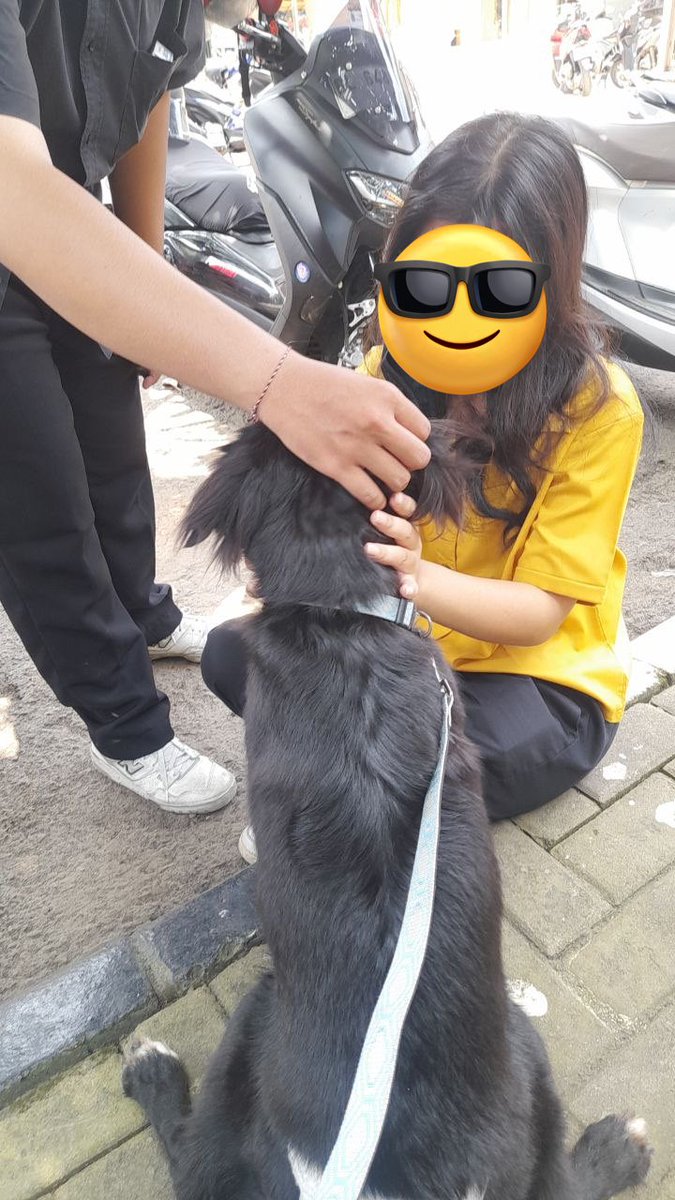 ardi 🍃 tweet media