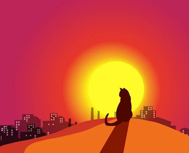 Aaron Brockman tweet media