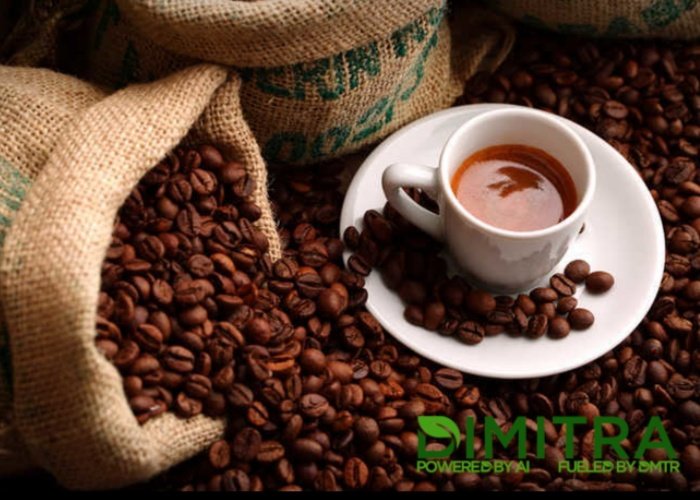 Martha56848329's tweet image. By working together, NACCU and 
$DMTR Dimitra are empowering #coffee cooperatives and farmers with technology that improves accountability, enhances market confidence, and positions #Kenyan coffee more competitively in the global marketplace considering the effect of #EUDR
$BTC