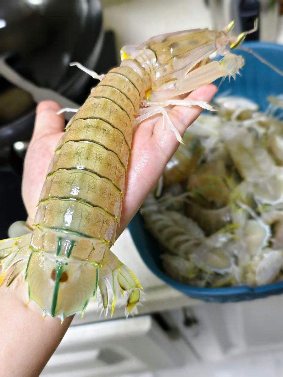 多多咪发So tweet media