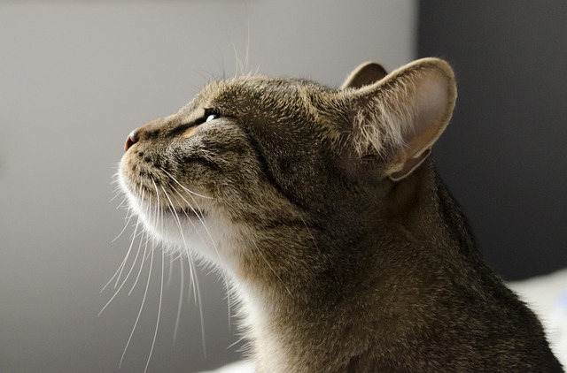 Kim Miller tweet media