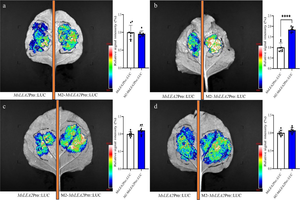 Grass Research tweet media