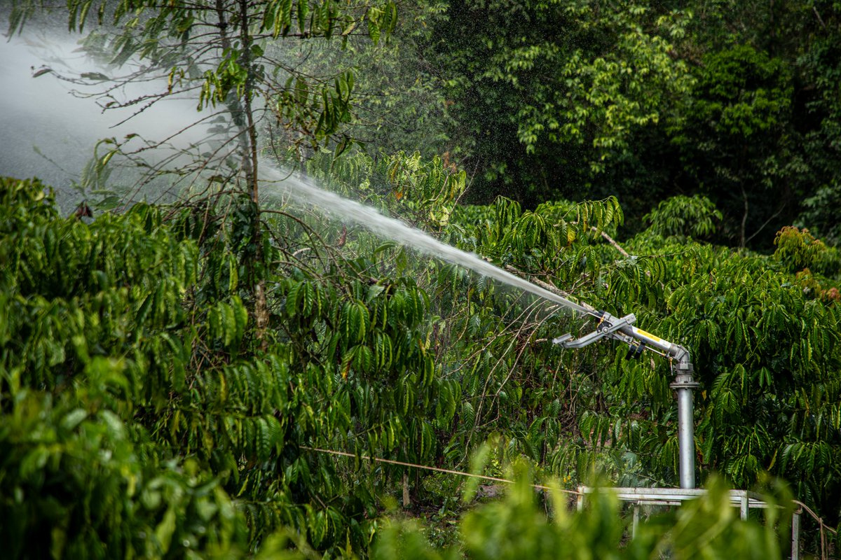 Sprinktech tweet media