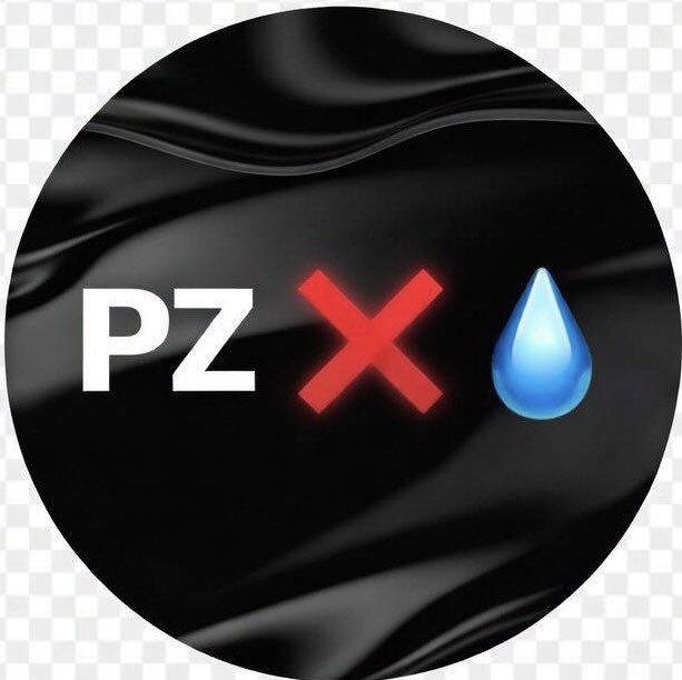 PZ ❌ tweet media