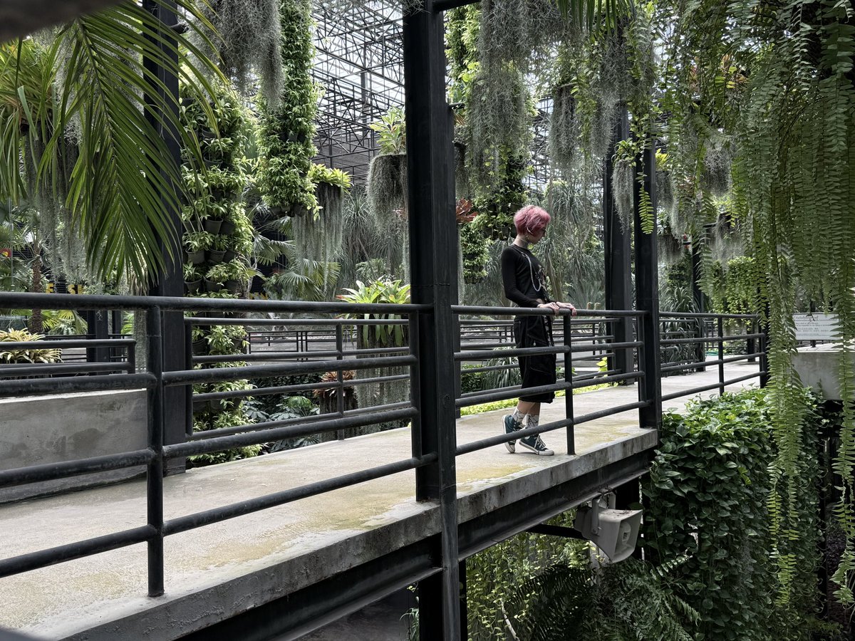 elftomboy tweet media