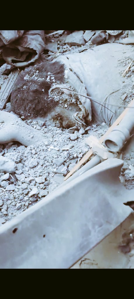 Javed Beigh tweet media