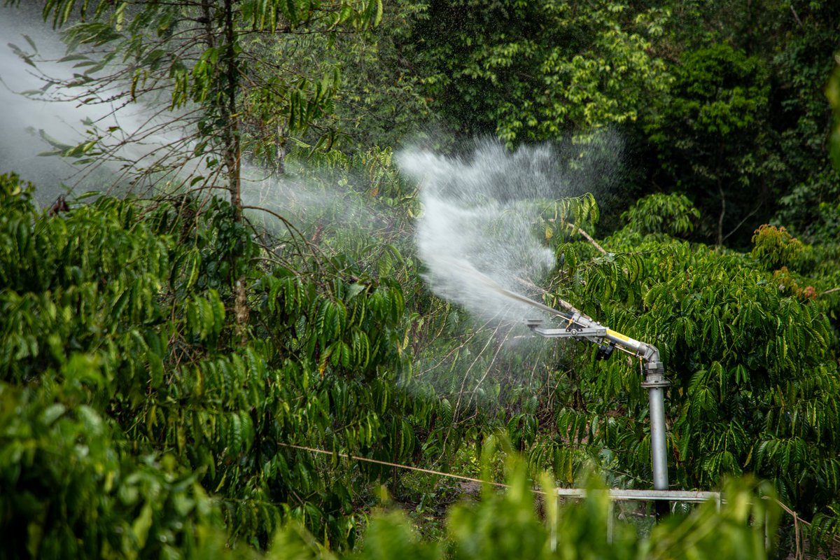 Sprinktech tweet media