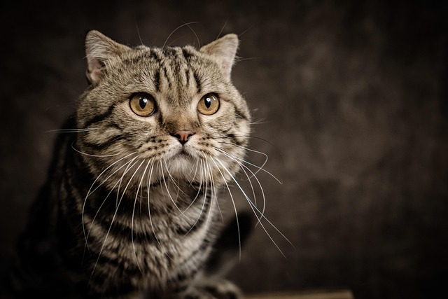 Jackie Brown tweet media