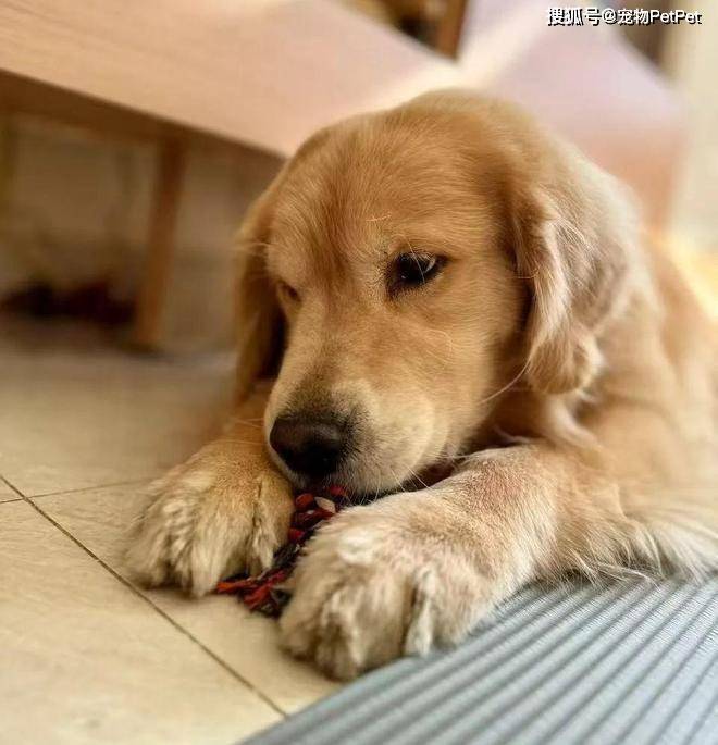 Mikeylaaaa tweet media