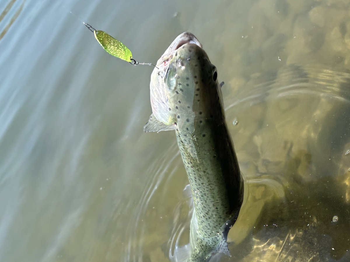 渡邉あさみ tweet media