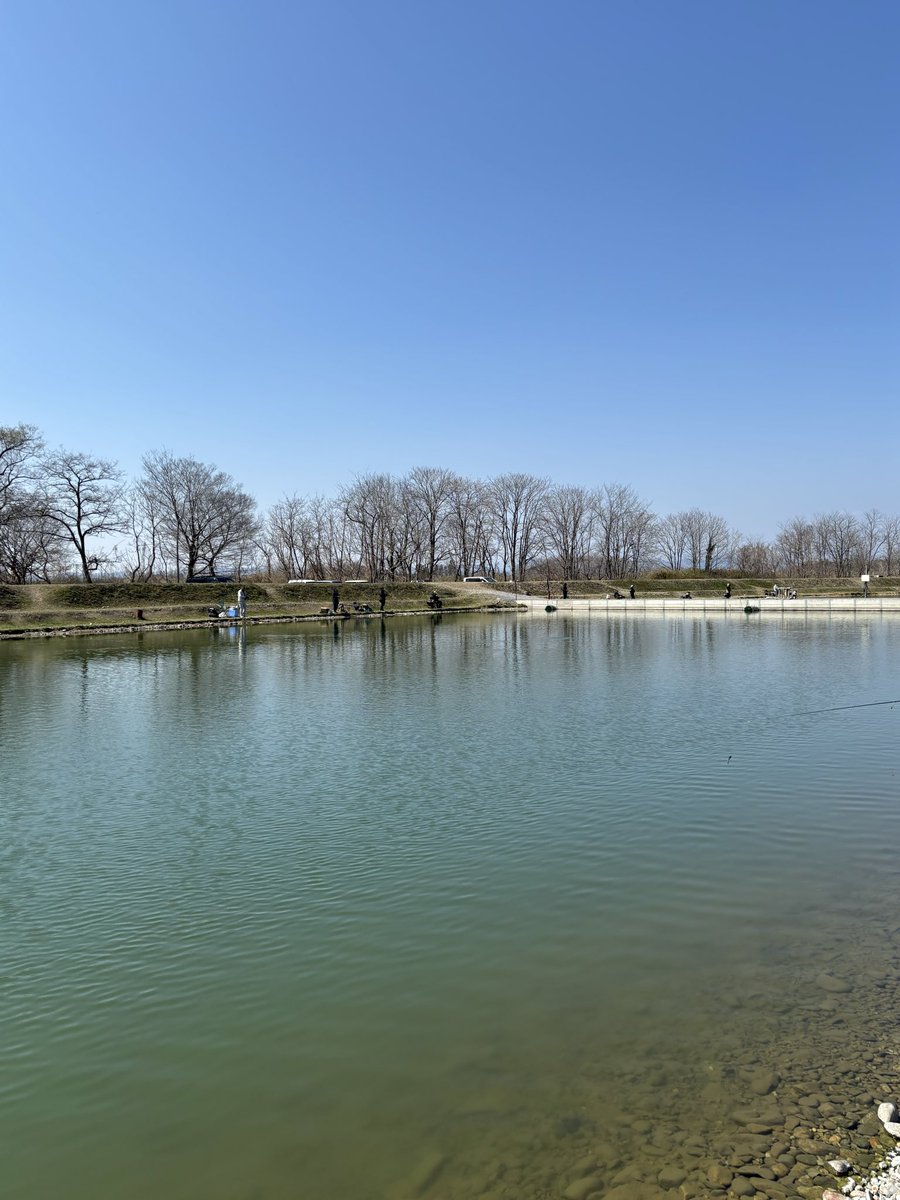 渡邉あさみ tweet media