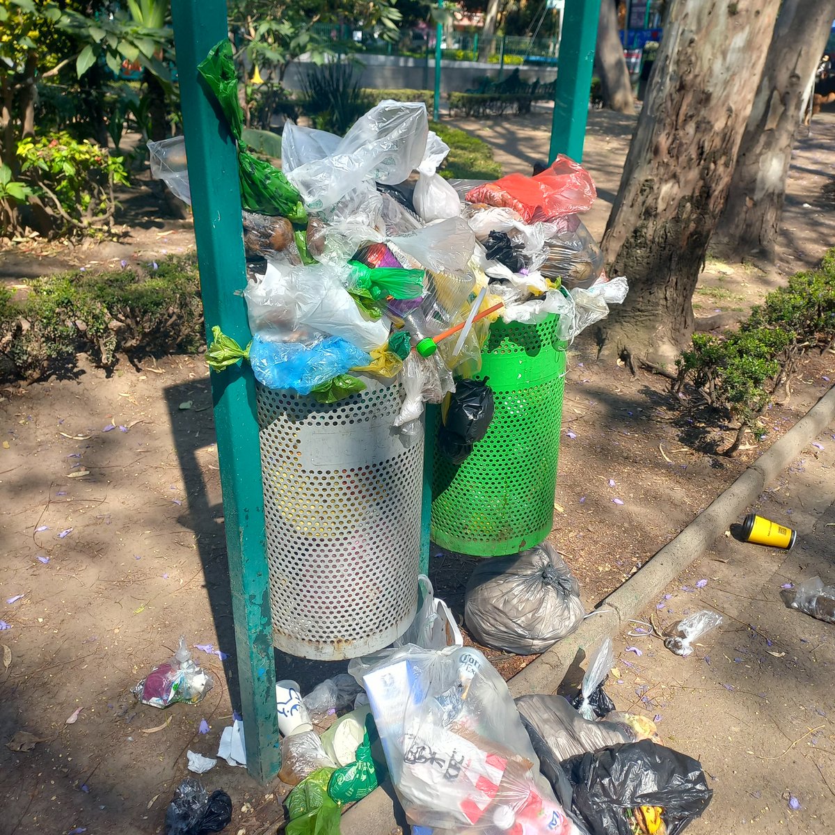 Patricia Alfaro M tweet media