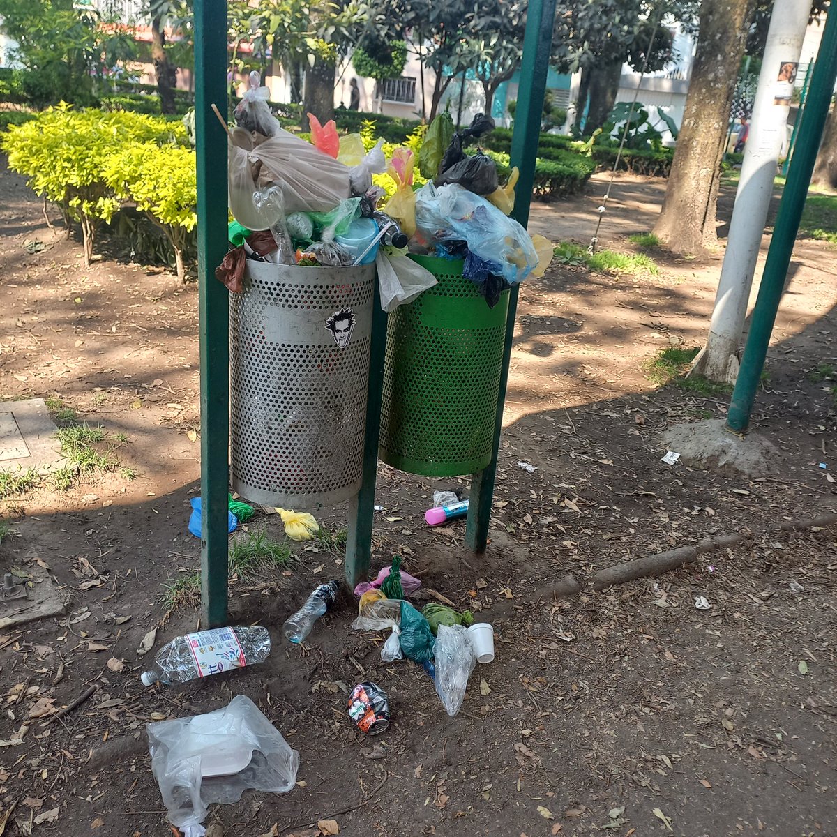 Patricia Alfaro M tweet media