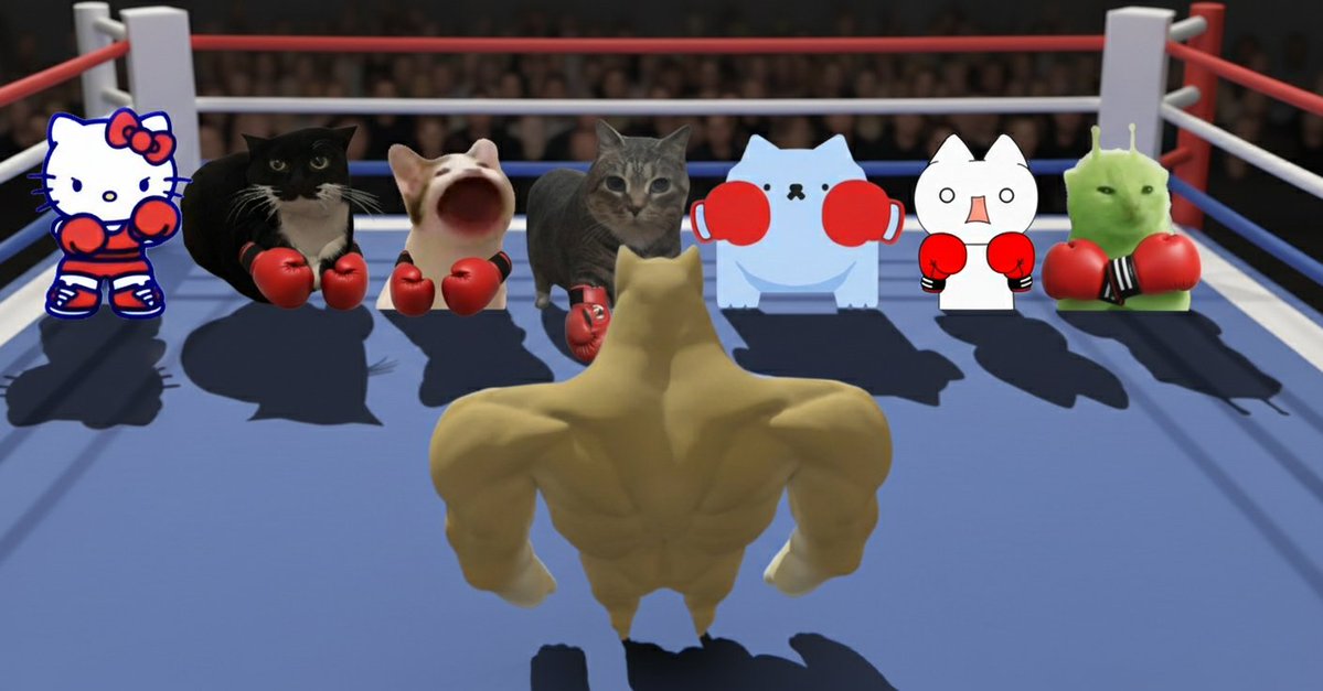 $SPINCAT on SOL tweet media