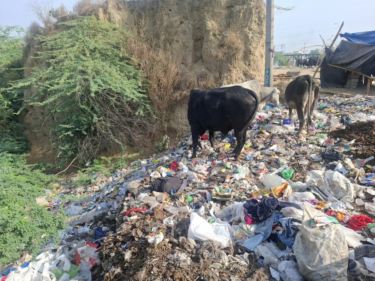 MihikaShahh's tweet image. After an 'intern' in #Faridabad stirred storm on social media with posts on the city's sanitation and roads, HT did a spot check and found no action has been taken by @MCF_Faridabad @cmohry @NayabSainiBJP #intern #sanitation #roadsafety

hindustantimes.com/cities/gurugra…