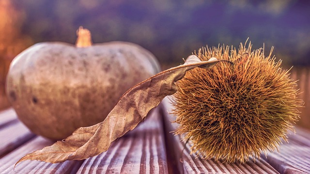 Roger Oman tweet media