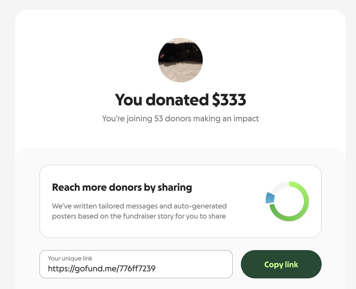 esotericpigeon's tweet photo. Another $333 donated, for more visibility.

Hey @ganymedeshouse, what's your SOL wallet?

Also, come check out our meme community for Ganymede:

https://t.co/CjGXENJWQg

https://t.co/1AzNDrioFz https://t.co/BSYWpo3Li6