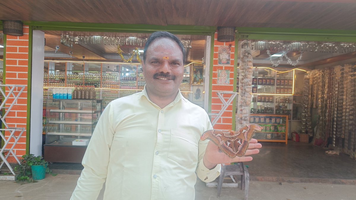 Pure Nilgiris Products tweet media