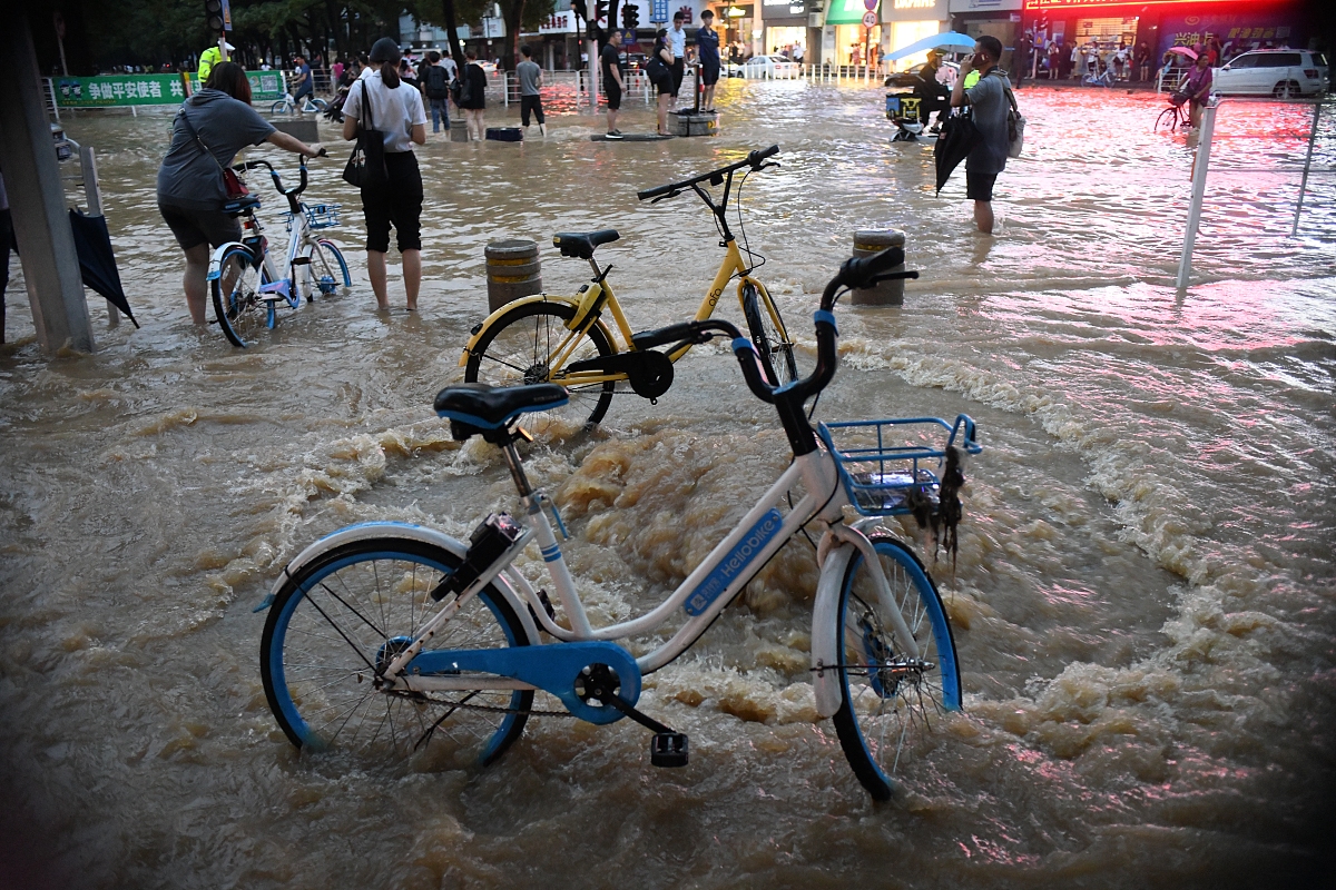 Stephanie White tweet media