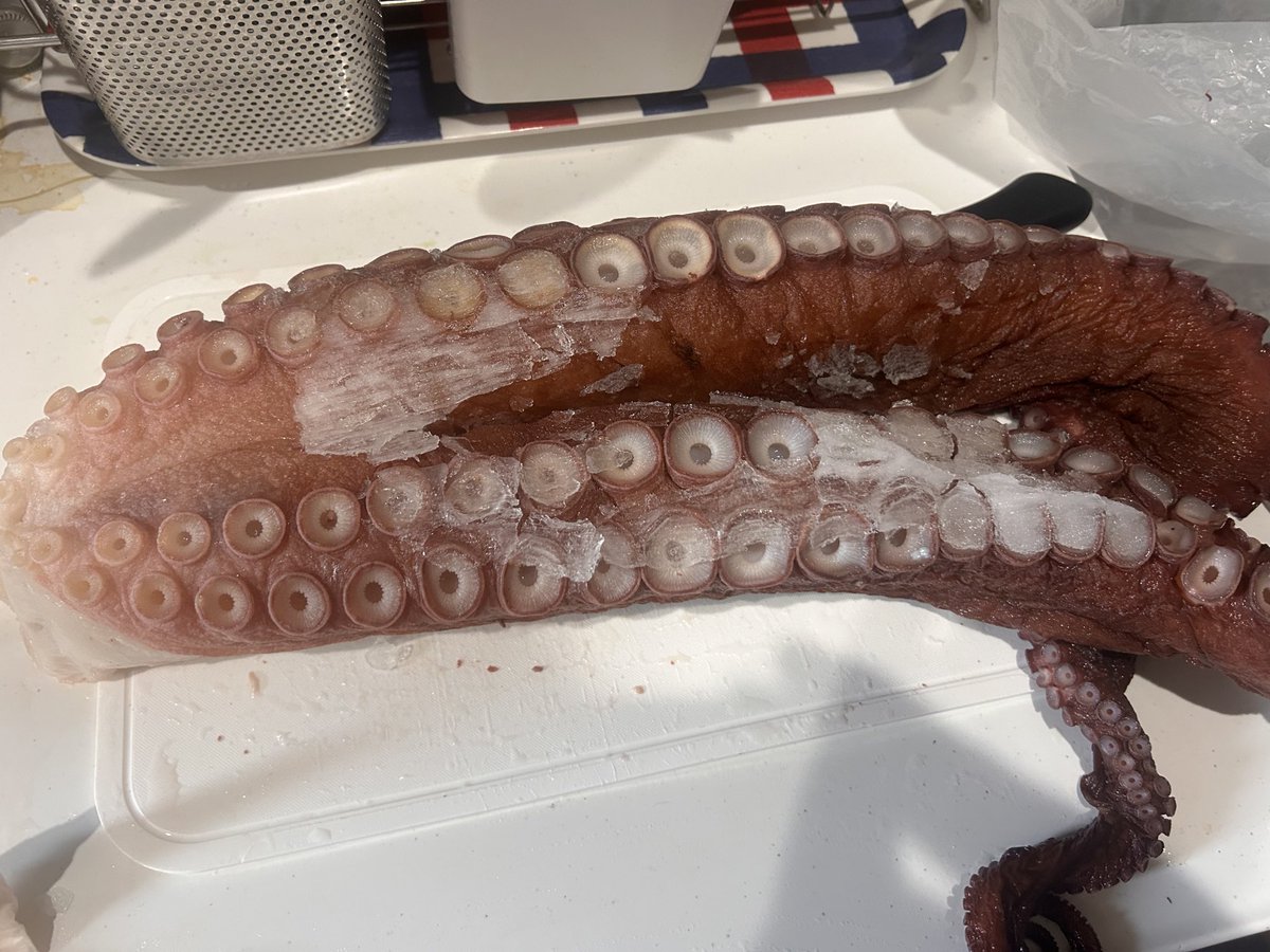 七つの天狗-天乃 tweet media