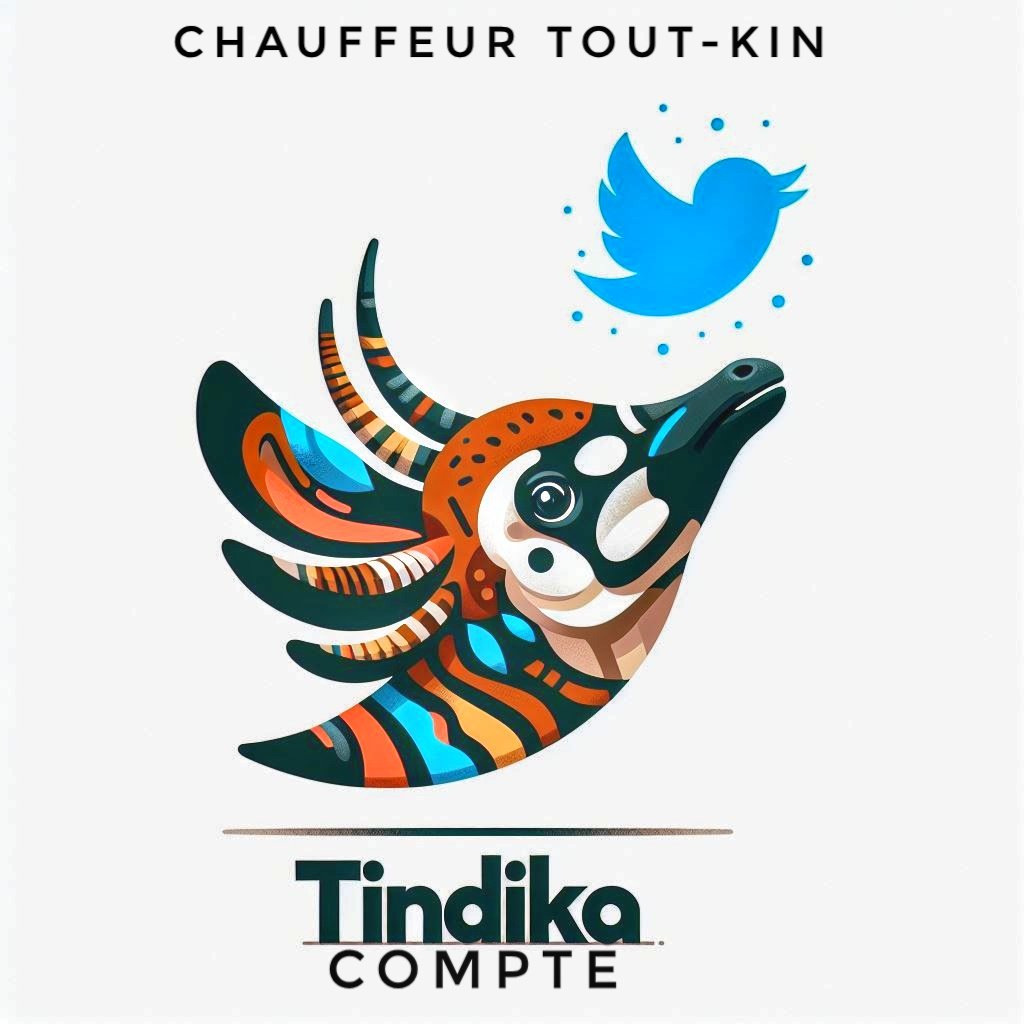 PULSAR 🇨🇩 tweet media