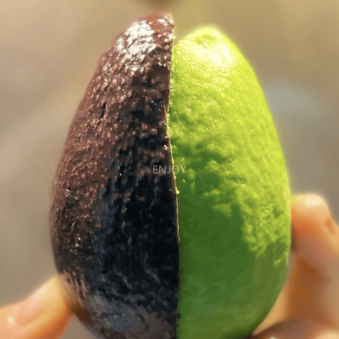 Leandra Belletty tweet media