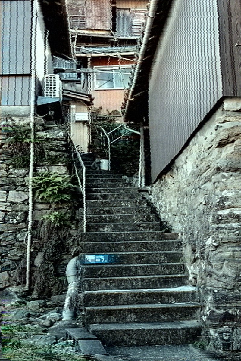 小林哲朗　写真家 tweet media