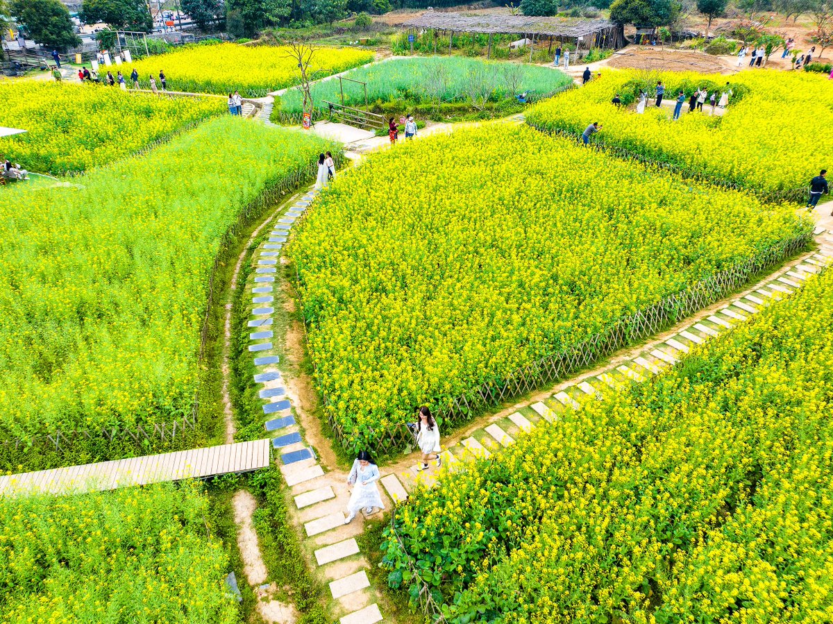 Mia in Shanghai tweet media