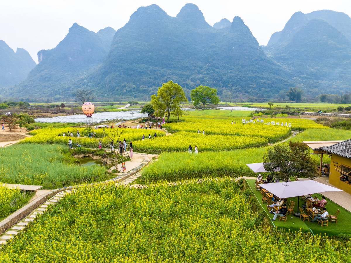 Mia in Shanghai tweet media