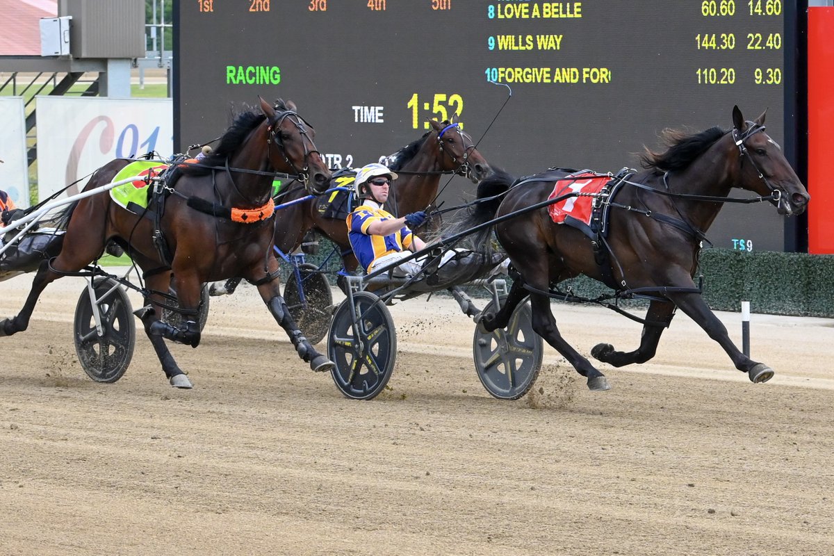 Club Menangle tweet media