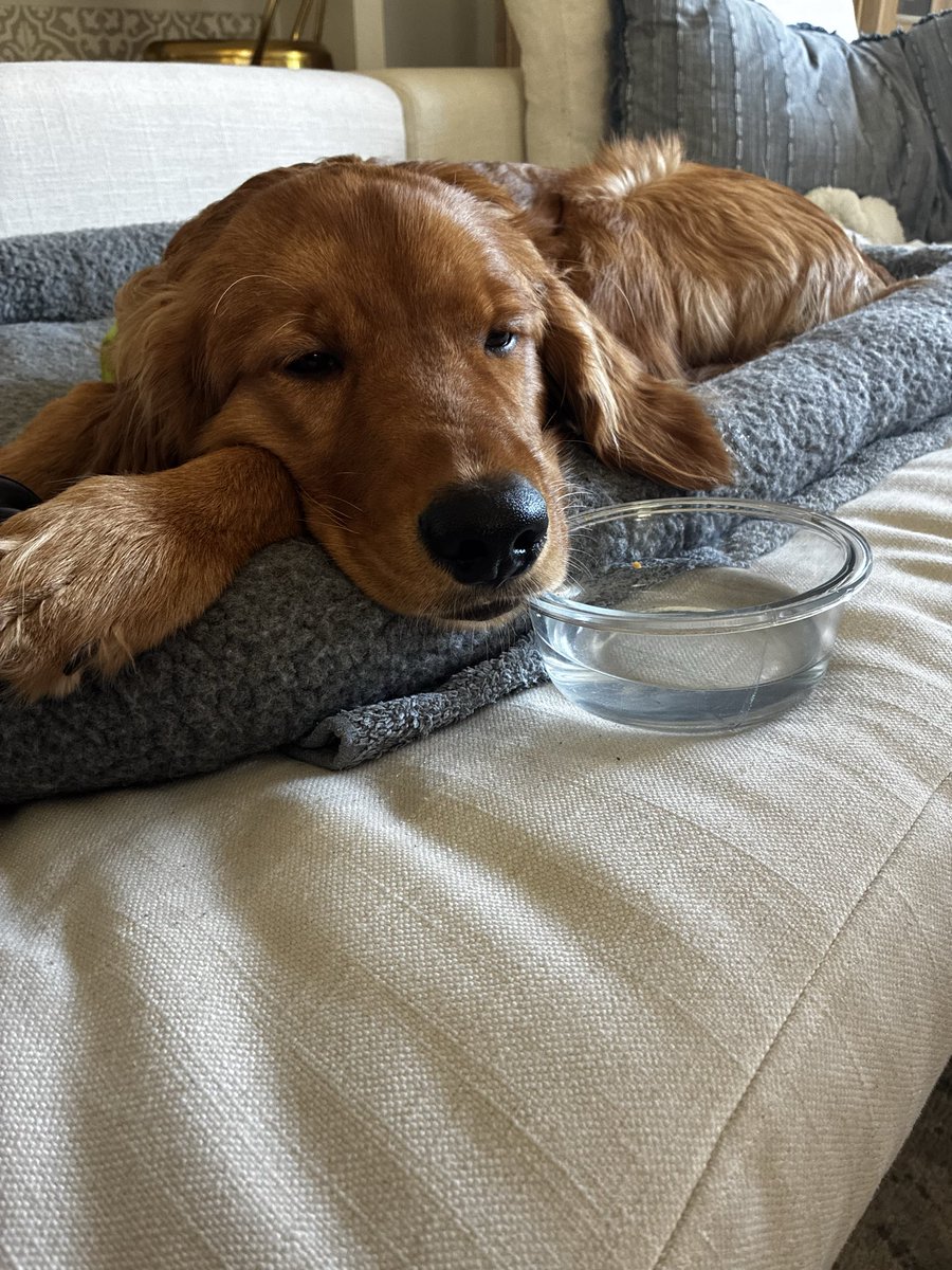 colby h2/acc tweet media