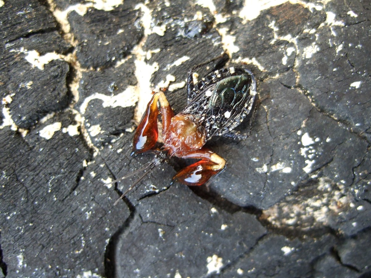 Tomoki SANDO tweet media