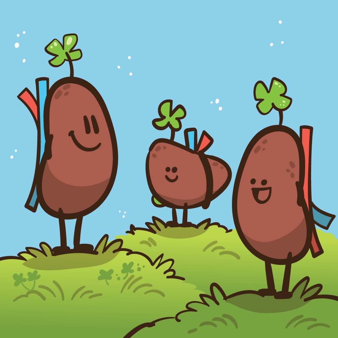 TheLivingBank's tweet photo. 🍀Happy St Patrick's Day!🍀 Your kidneys and liver are some of the luckiest beans! They have amazing abilities and functions within our bodies. The liver is the only organ that can regenerate! Kidneys can function as a pair or alone and make living donation possible! https://t.co/mZyUu3w87n