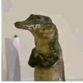 El Psiqui 👨‍⚕️ #Orianista tweet media