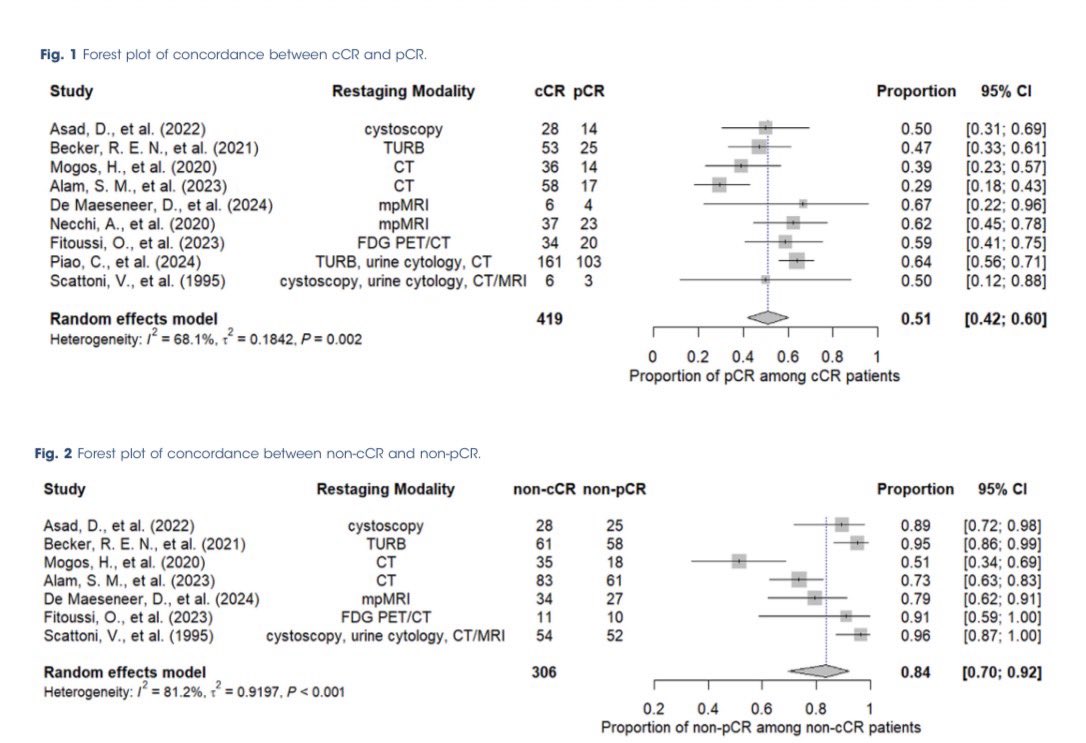 Navid Roessler tweet media