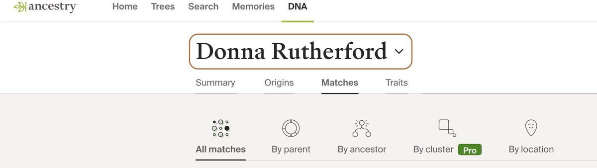 Donna Rutherford tweet media