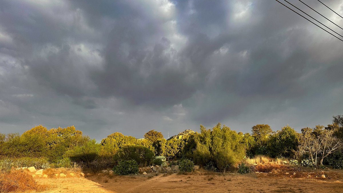 هالـه . (@lluli__) on Twitter photo 