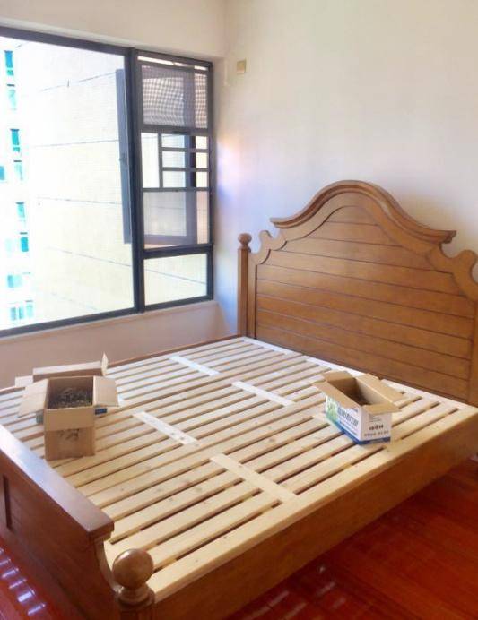 Shadowdruidsito tweet media