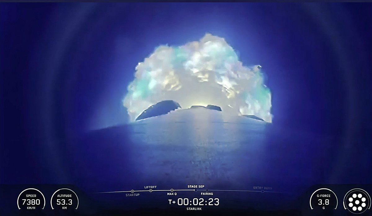 Ryan Rose tweet media