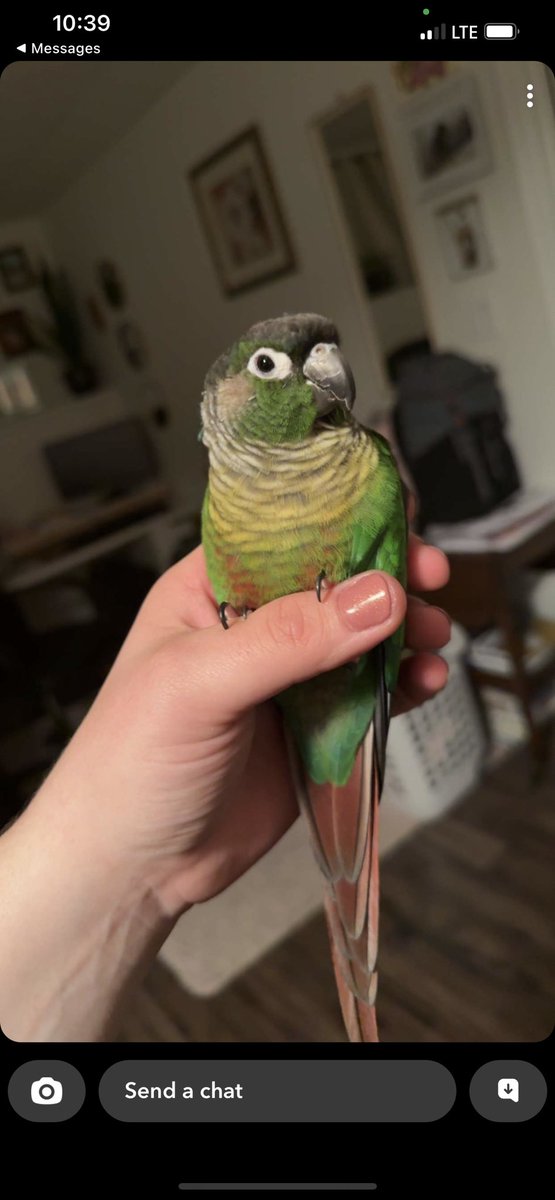 Cody | Vandelex tweet media