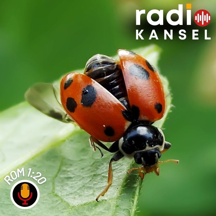 Radio Pulpit™ tweet media