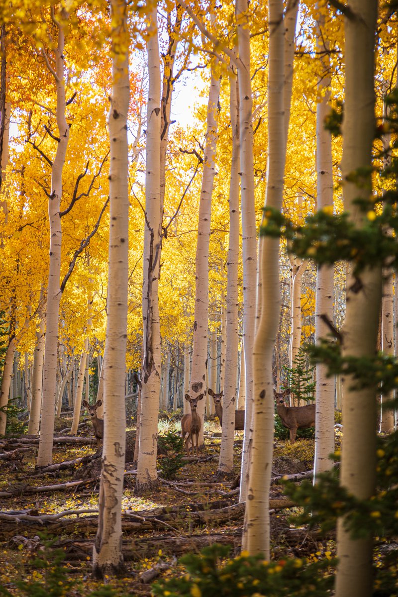 John Getchel tweet media