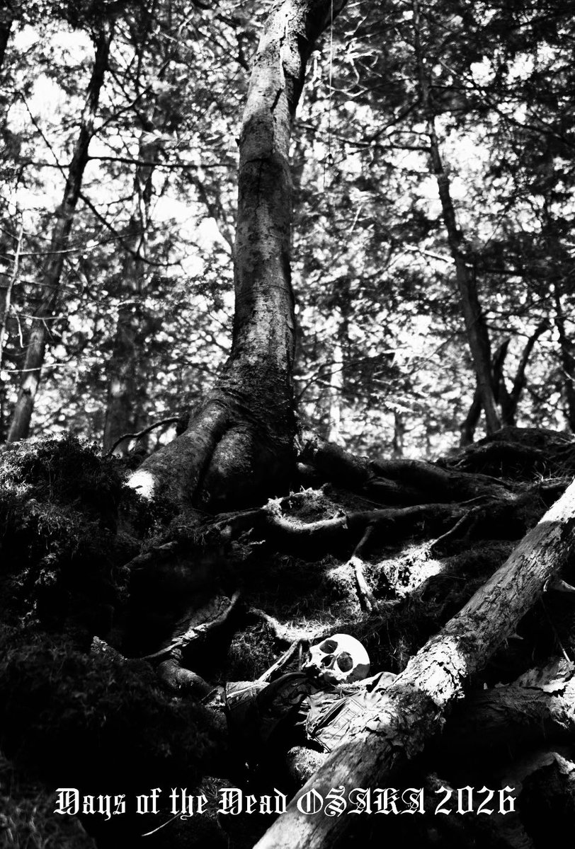 たもんくん tweet media